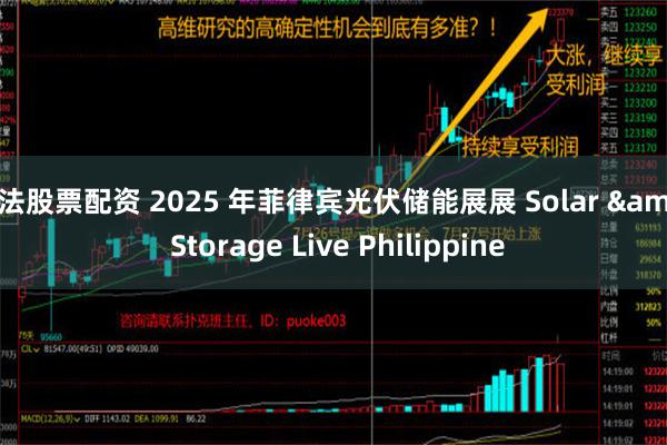 合法股票配资 2025 年菲律宾光伏储能展展 Solar & Storage Live Philippine